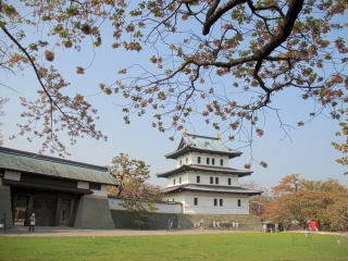 matsumae castle in spring